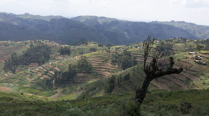 About Kisoro District