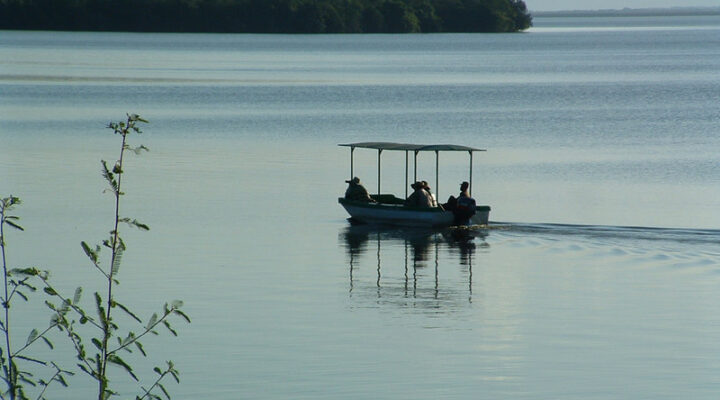 Boat cruise in Lake Mburo national park