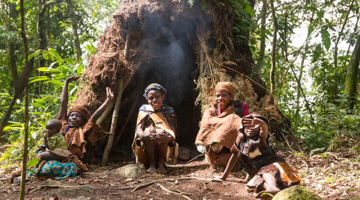 Communities around Bwindi National Park 2024 – 2025