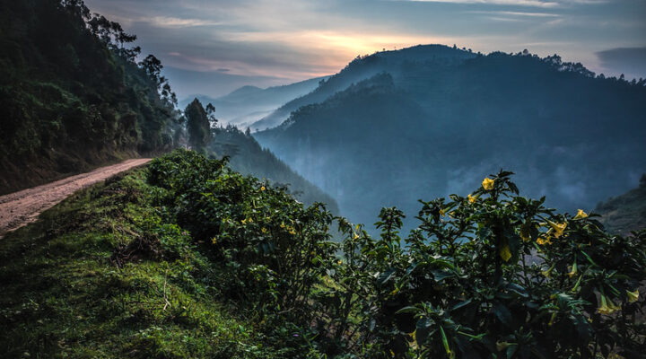 Distance Between Volcanoes National Park and Bwindi Forest National Park