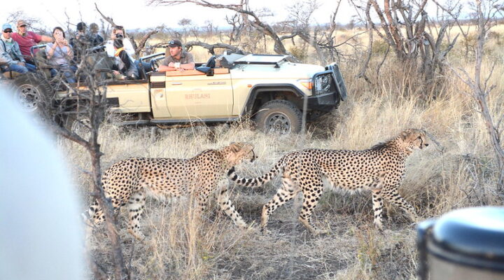 Family Safari in Africa, Kids on Safari, Packages, Destinations For Children