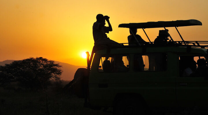 Game drives in Kidepo valley national park