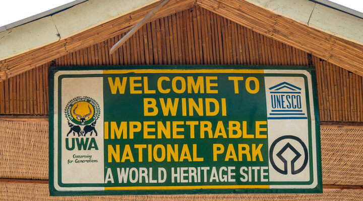 Gates Of Bwindi Impenetrable Forest National Park