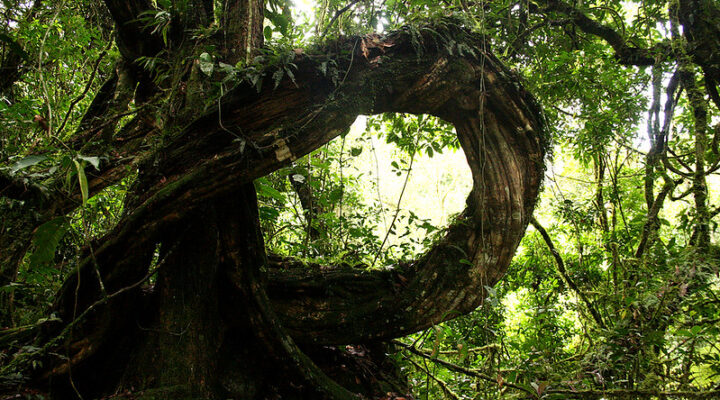 Is it safe to visit Bwindi impenetrable national park