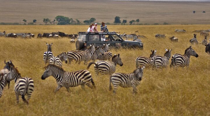 Kenya Family Safari