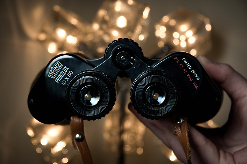 The Best Cameras & Binoculars To Bring On Your African Safari
