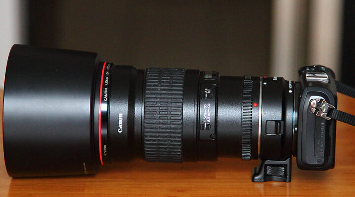 The Best Cameras & Binoculars To Bring On Your African Safari