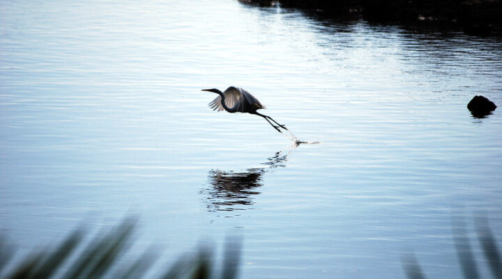 Top things to do during your safari in Rwanda