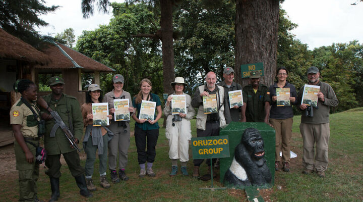 What is a gorilla trekking certificate