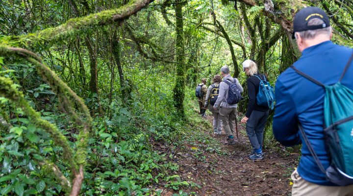 What to Wear For Gorilla Trekking in Uganda, Rwanda, Packing List