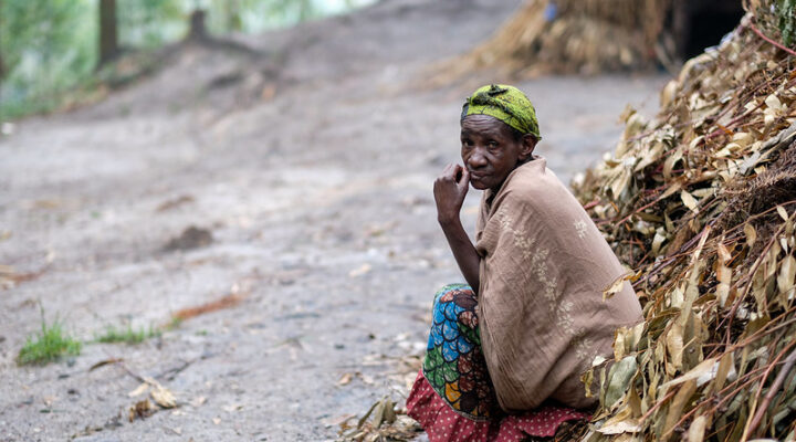 What to do after gorilla habituation experience in Bwindi impenetrable national park