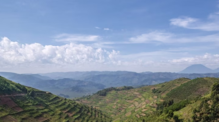 View of the cultivated hills in Southern Uganda, very close to the border to Rwanda.
