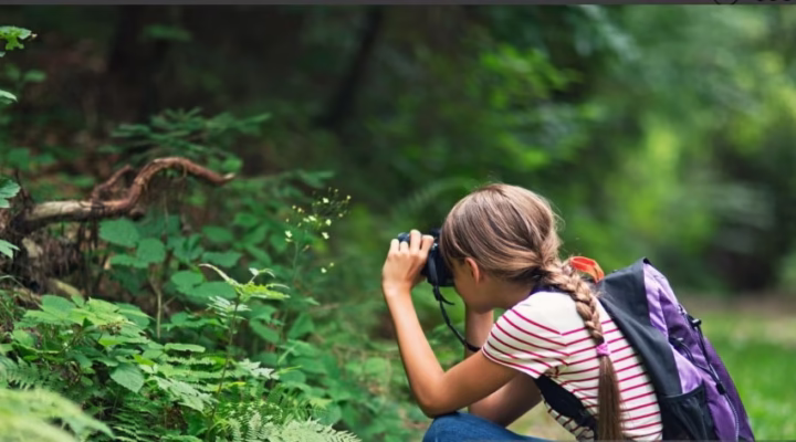photographer capturing a close-up shot of a mountain gorilla in Uganda’s rainforest, surrounded by dense green foliage and soft natural light.