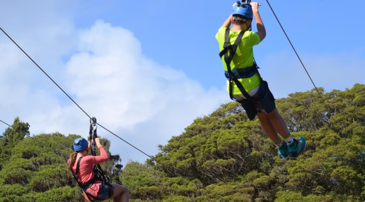 Person ziplining through lush green forest canopy in Uganda, surrounded by tall trees and clear blue sky, capturing the thrill and beauty of the adventure.