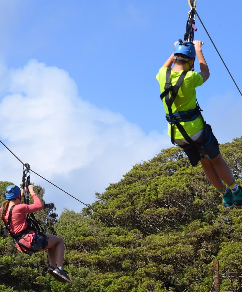 Person ziplining through lush green forest canopy in Uganda, surrounded by tall trees and clear blue sky, capturing the thrill and beauty of the adventure.