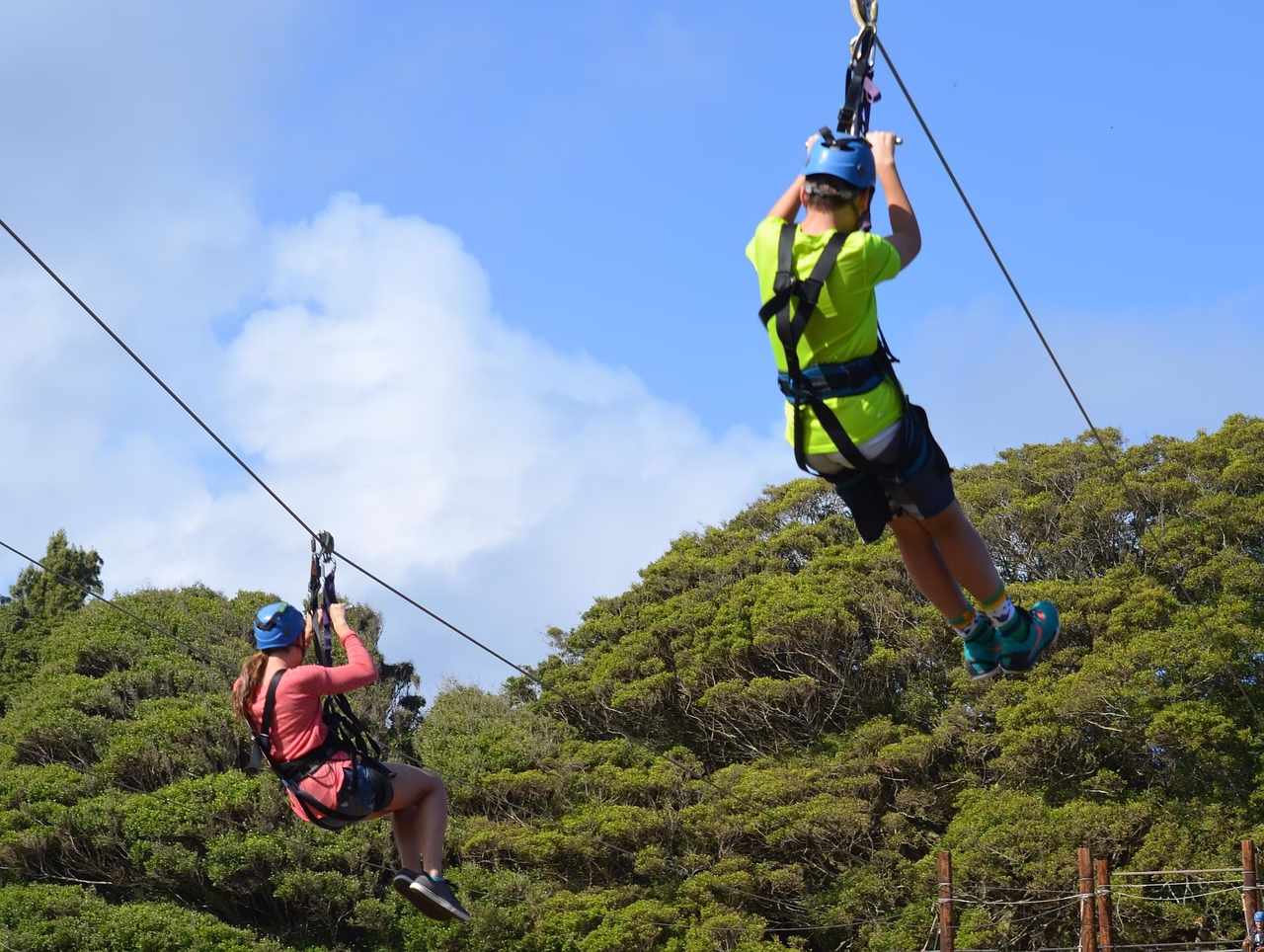 Person ziplining through lush green forest canopy in Uganda, surrounded by tall trees and clear blue sky, capturing the thrill and beauty of the adventure.