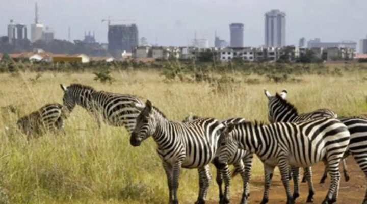 What is the oldest National Park in Kenya