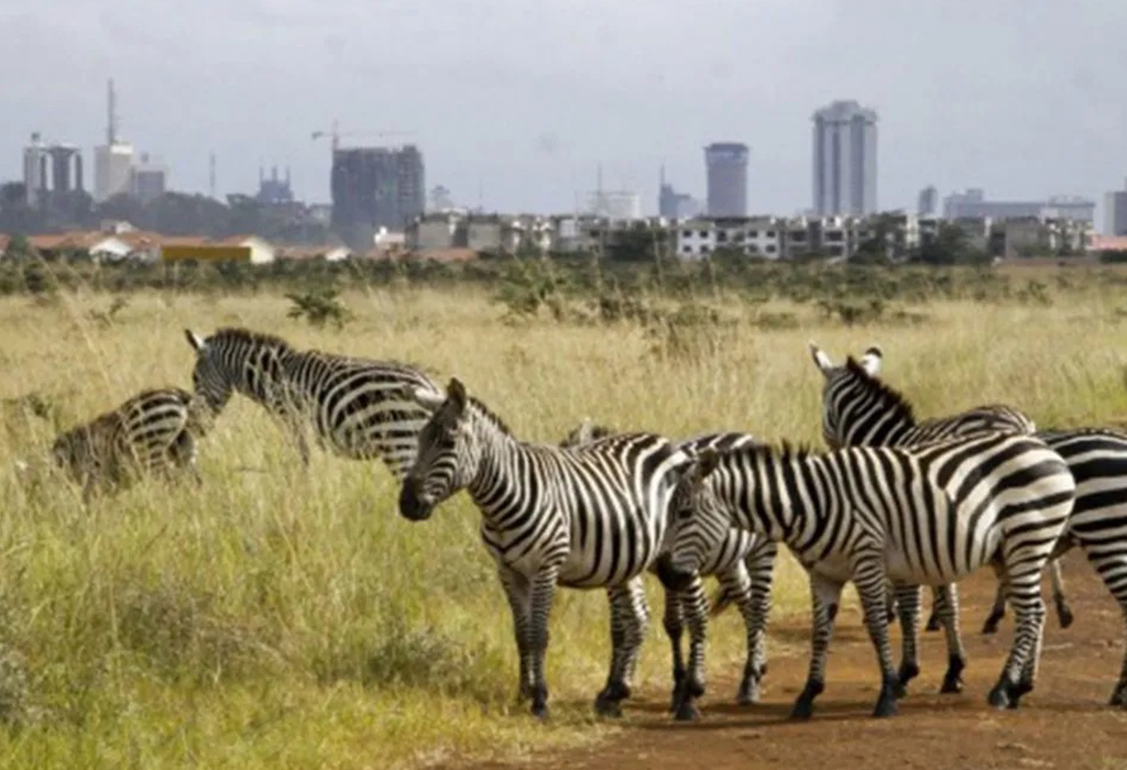 What is the oldest National Park in Kenya