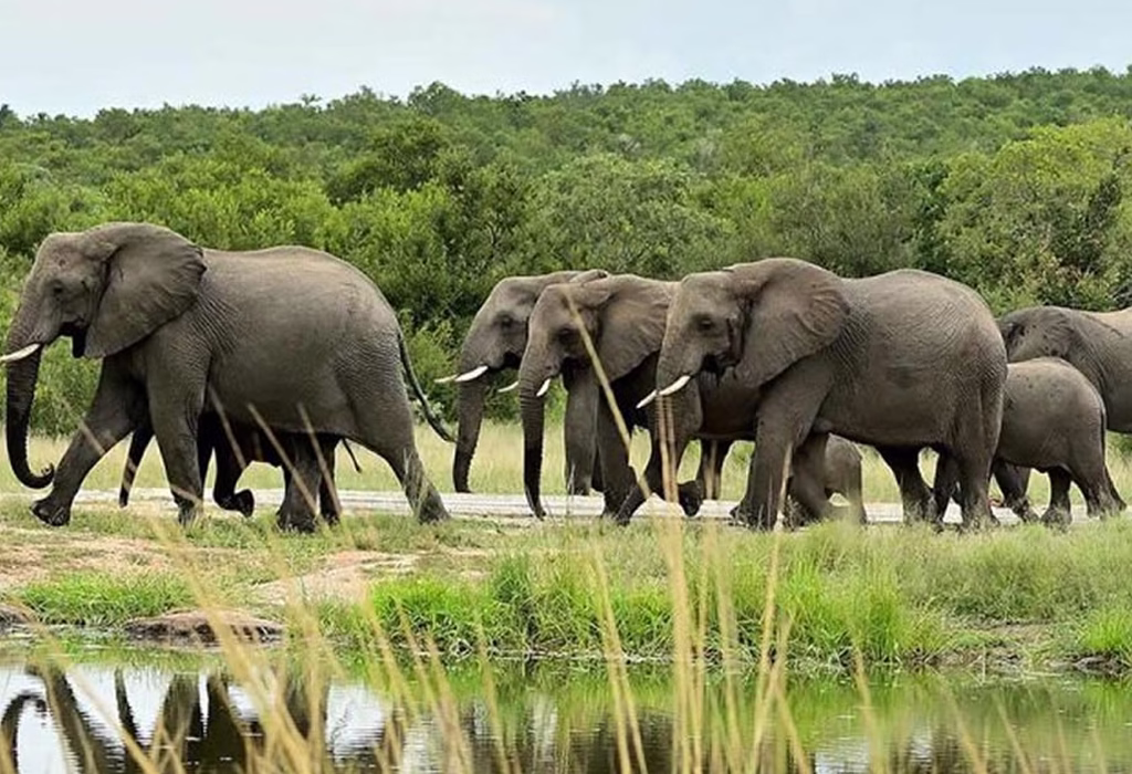 Cultural Tours in East Africa