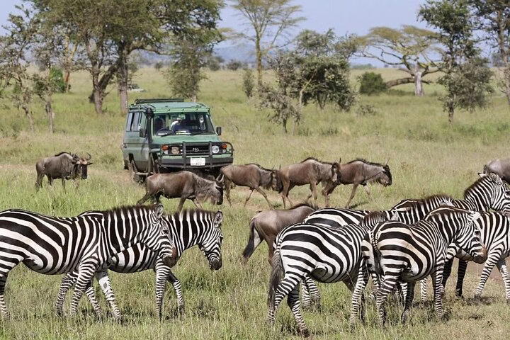 kilimanjaro safari experience