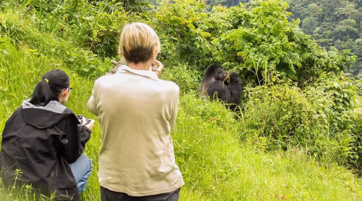 Travelling to Rwanda on a Budget
