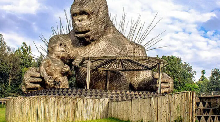 Gorilla Naming Ceremony in Rwanda – Kwita Izina