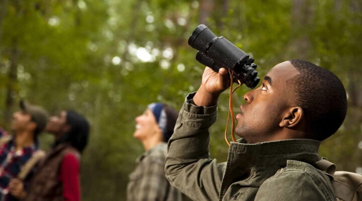 How to Avoid Scammers When Planning Your Rwanda Safari Online