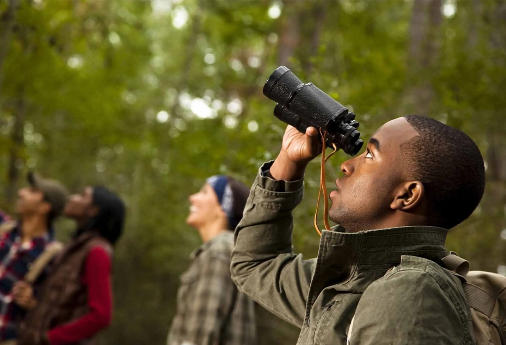 How to Avoid Scammers When Planning Your Rwanda Safari Online