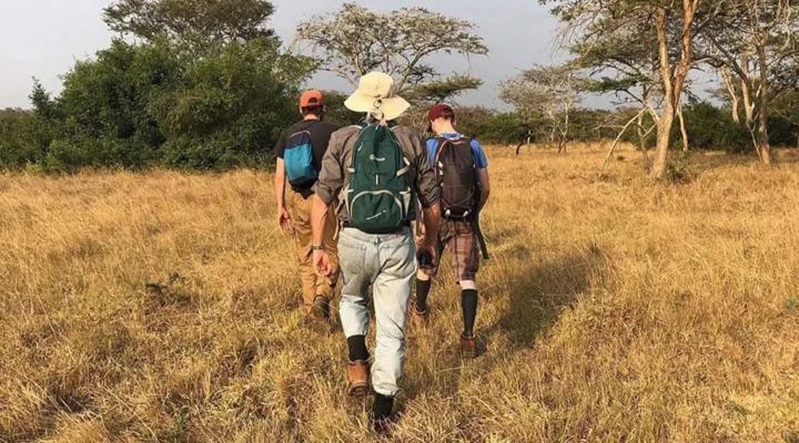Are Walking Safaris Safe in Lake Mburo National Park?
