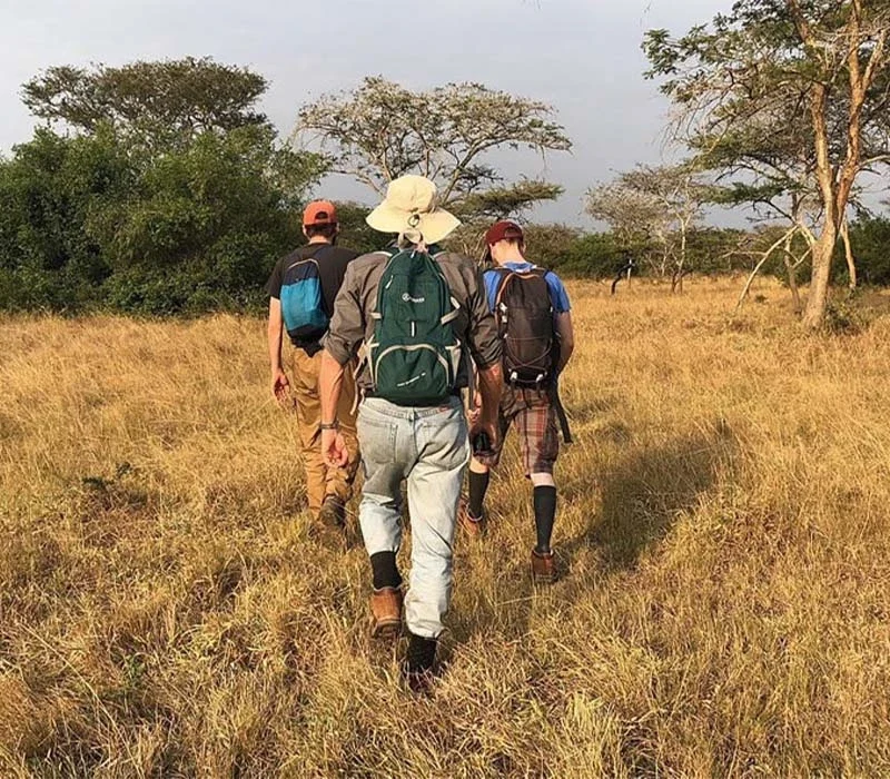 Are Walking Safaris Safe in Lake Mburo National Park?