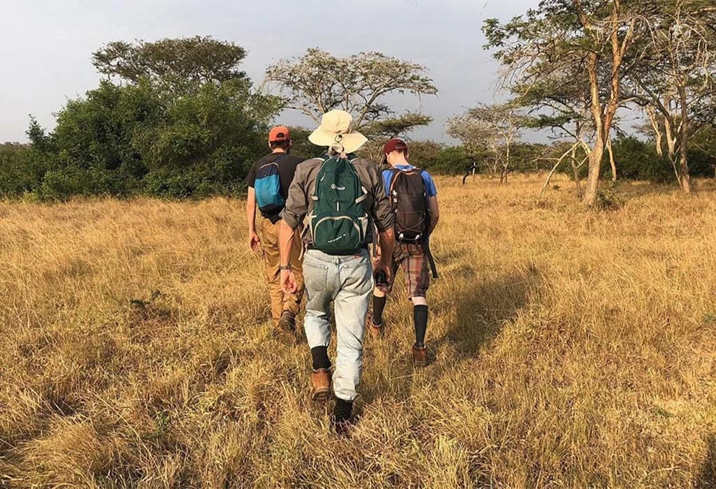 Are Walking Safaris Safe in Lake Mburo National Park?