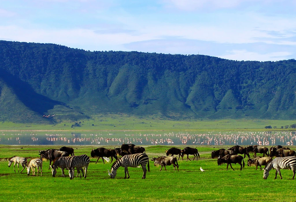Ngorongoro Crater, Tanzania – A Natural Wildlife Sanctuary