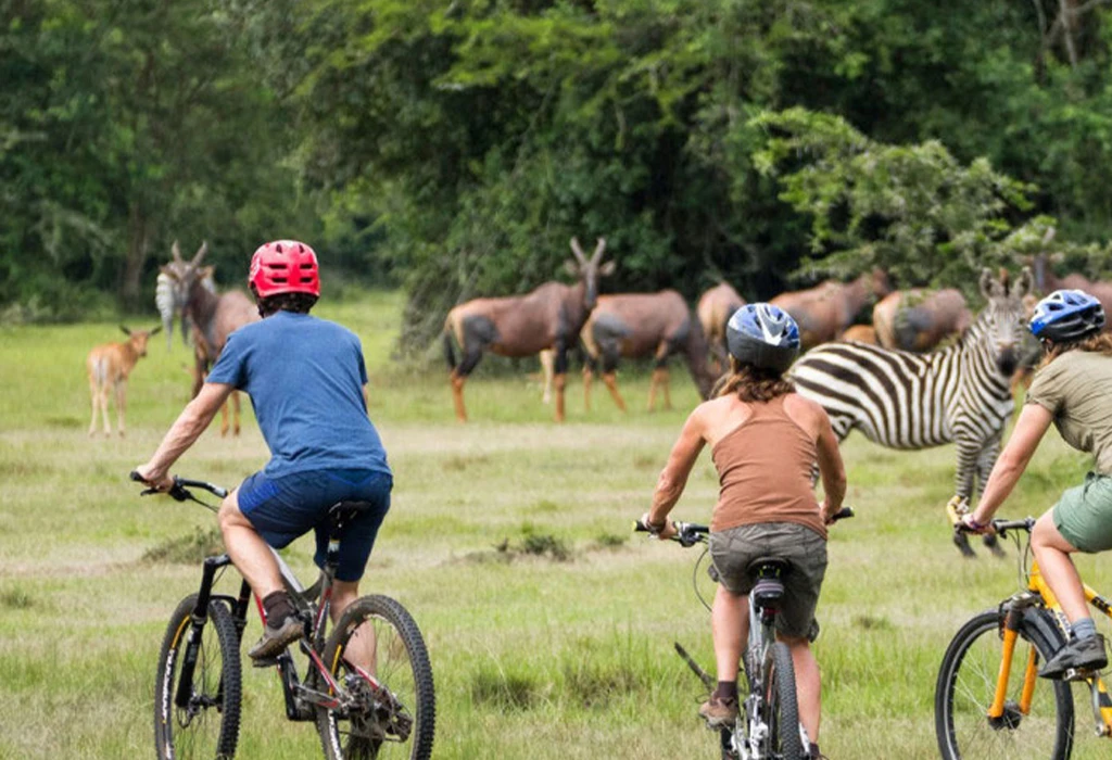 Uganda Cycling Tours and Safari