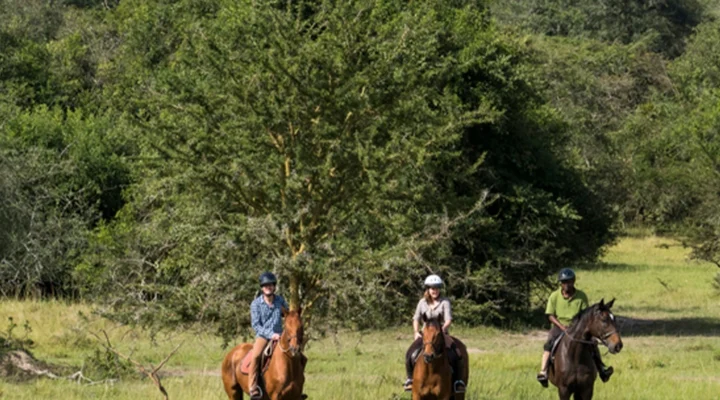 Horseback Riding in Lake Mburo National Park
