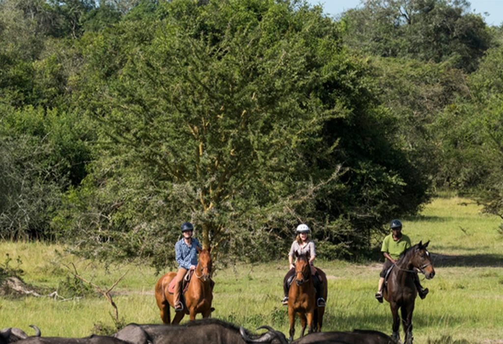 Horseback Riding in Lake Mburo National Park
