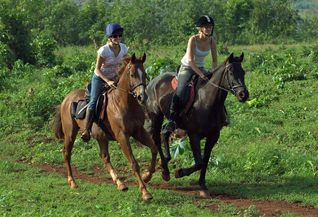 Horseback Safaris