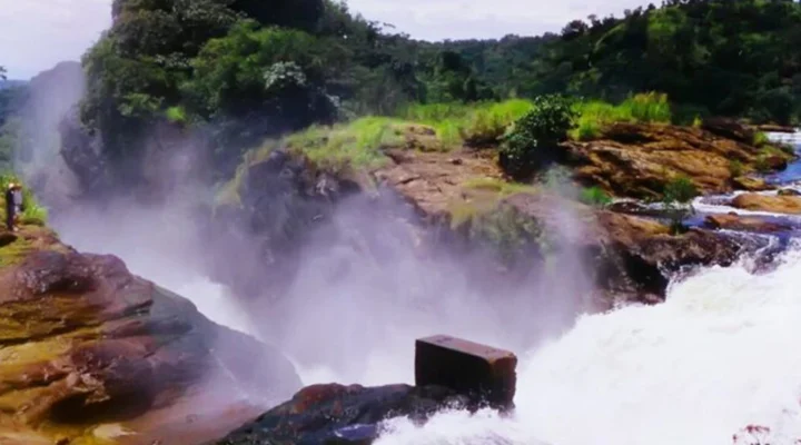 Why Uganda’s Murchison Falls is Ideal for First-Time Travelers