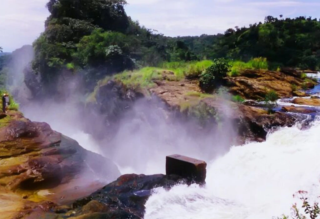 Why Uganda’s Murchison Falls is Ideal for First-Time Travelers