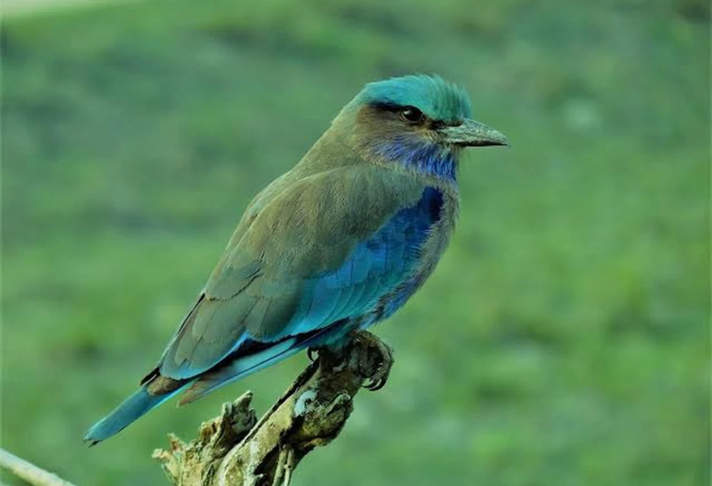 Climate of Bwindi Impenetrable National Park