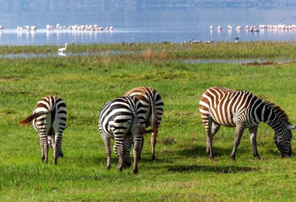 Lake Nakuru