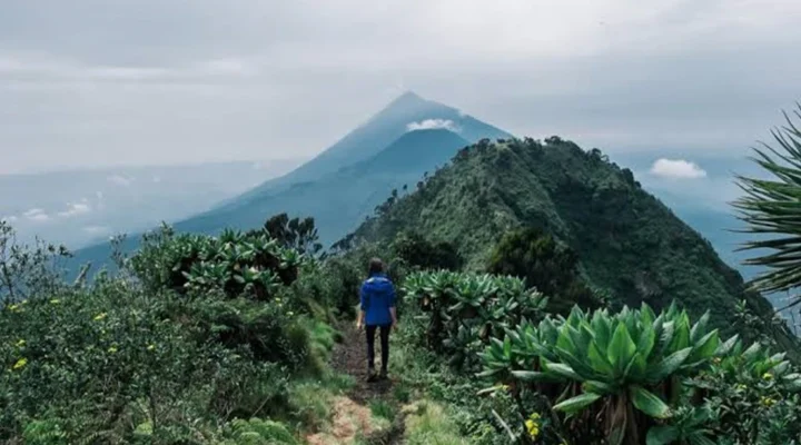Mountain Climbing and Hiking in Uganda.