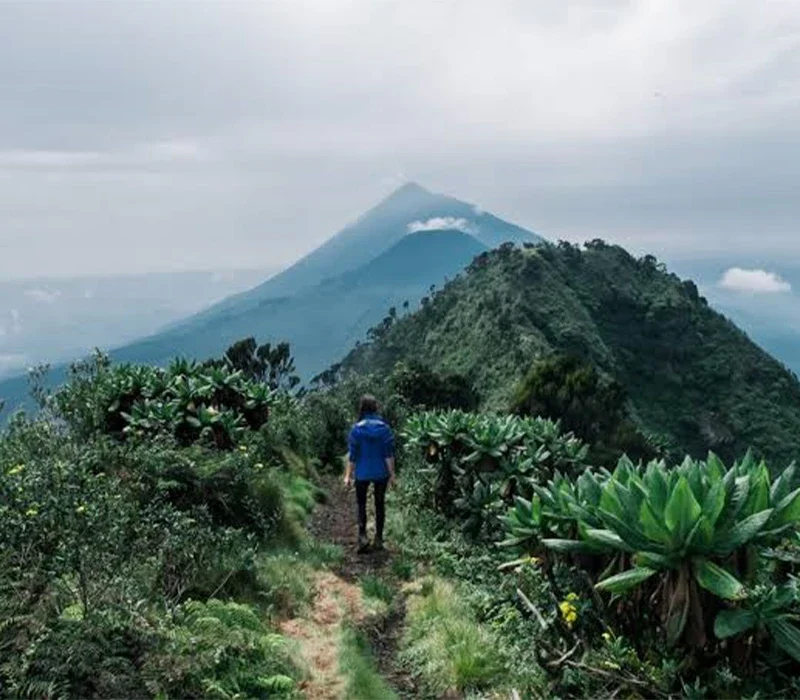 Mountain Climbing and Hiking in Uganda.