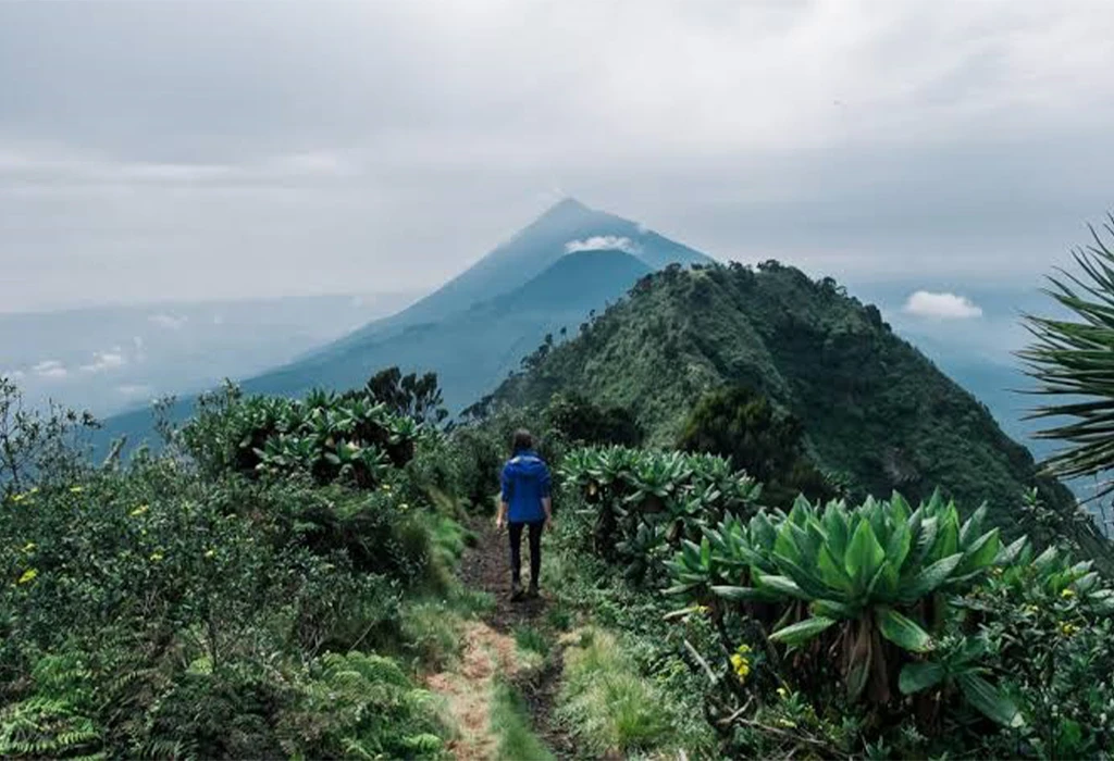 Mountain Climbing and Hiking in Uganda.